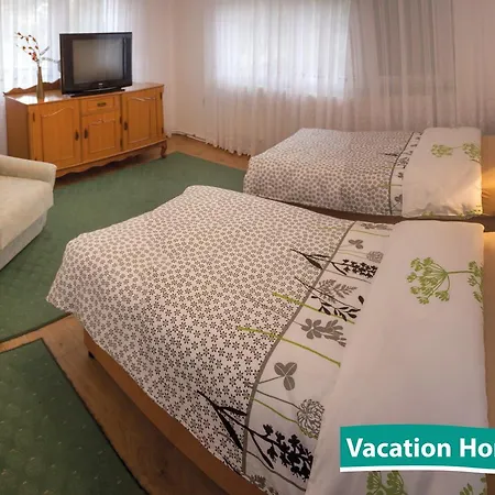 Vacation Alan * קולן וקוף