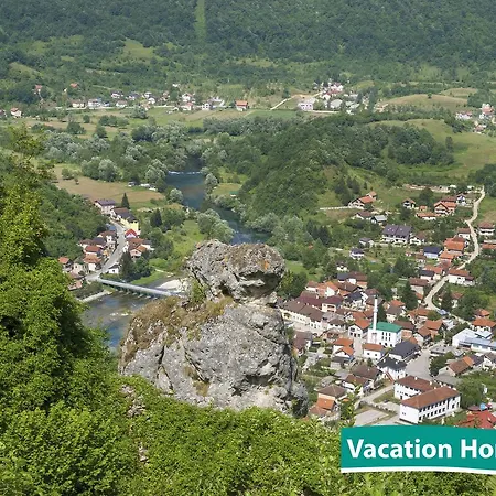 Vacation Alan קולן וקוף